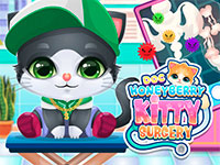 Doc HoneyBerry Kitty Surgery