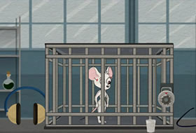 Lab Mouse Escape