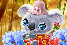 Gentil Koala