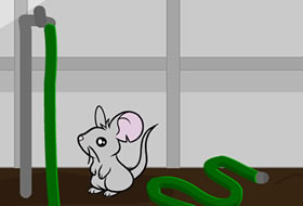Marly Mouse Escape - Garden