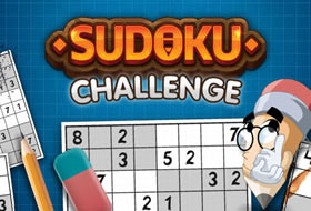 Sudoku Challenge