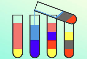 Water Sort Puzzle