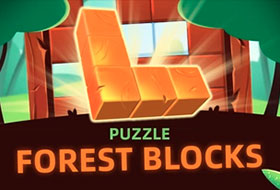 Puzzle Forest Blocks