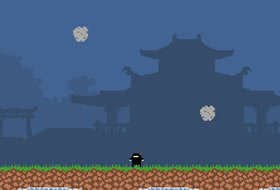 Ninja Training