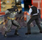 Bat Hero - Immortal Legend Crime Fighter