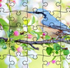 Jigsaw Puzzle Spring