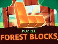 Puzzle Forest Blocks