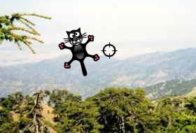 Clay Kitten Shooting