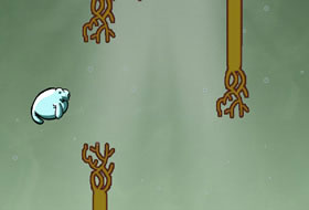 Speedy Manati