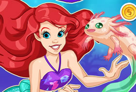 Le magasin de la sirène