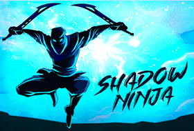 Shadow Ninja Revenge