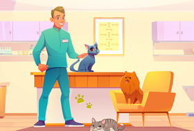 Vet Clinic - Heal and Save Animals