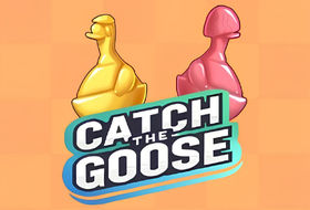Catch The Goose