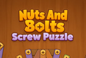Nuts And Bolts Screw Puzzle
