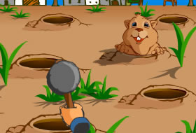 Whack a Groundhog